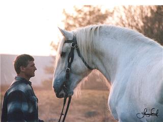 Bilden på Jan och shirehingsten Bodernog Baron togs utanför Umeå april 2002 och är en av mina favoritbilder. Gillar lugnet och ljuset i den! Bilden har varit publicerad i en tysk kalender (som oktober-bild fast den är tagen på våren!).