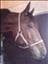 Globen